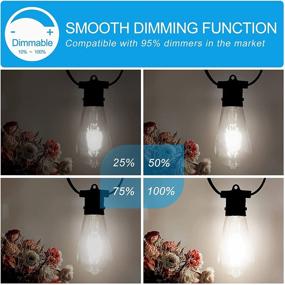 img 3 attached to 💡 800 Lumens Daylight Filament Bulb with Dimmable Feature