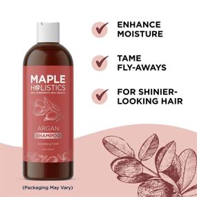 img 1 attached to 🌿 Moisturizing Argan Shampoo: Repair Dry Damaged Hair with Moroccan Argan Oil – Frizz Control, Dry Scalp Care, and Curly Hair Moisturizer