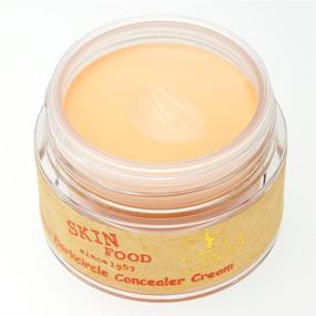 img 3 attached to SKINFOOD Salmon Dark Circle Concealer Cream #1 - Best Under Eye Concealer for Dark Circles, Spots, and Wrinkles - Full Coverage Formula - 0.35 Oz/10 g (Salmon Blooming)