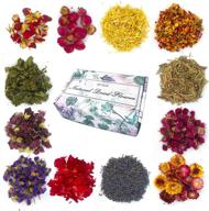 🌸 dried flowers 12 pack - soap making scents kit with rose, lavender, jasmine, and more. ideal for soap, candle, resin jewelry making, bath bombs, and essential oil crafts. each bag 0.5 oz (12 bags) logo