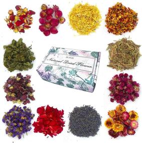 img 4 attached to 🌸 Dried Flowers 12 Pack - Soap Making Scents Kit with Rose, Lavender, Jasmine, and More. Ideal for Soap, Candle, Resin Jewelry Making, Bath Bombs, and Essential Oil Crafts. Each Bag 0.5 oz (12 Bags)