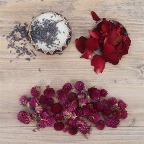 img 2 attached to 🌸 Dried Flowers 12 Pack - Soap Making Scents Kit with Rose, Lavender, Jasmine, and More. Ideal for Soap, Candle, Resin Jewelry Making, Bath Bombs, and Essential Oil Crafts. Each Bag 0.5 oz (12 Bags)