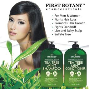 img 2 attached to 🌿 Tea Tree Mint Shampoo and Conditioner: Hair Loss Prevention, Growth Booster, Anti-Dandruff, Lice Defense - Men & Women Sulfate Free (16oz x 2)