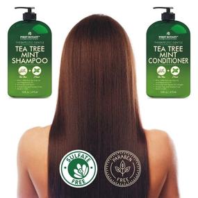 img 1 attached to 🌿 Tea Tree Mint Shampoo and Conditioner: Hair Loss Prevention, Growth Booster, Anti-Dandruff, Lice Defense - Men & Women Sulfate Free (16oz x 2)