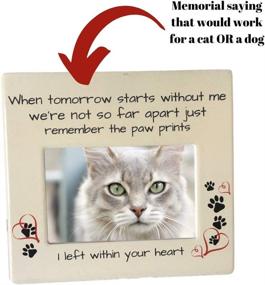 img 1 attached to 🐾 BANBERRY DESIGNS Pet Memorial Photo Frame: Remembering Your Beloved Dog or Cat with Sentimental Sympathy Plaque - Cherish Moments with 4"x6" Picture