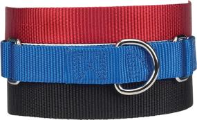 img 1 attached to SEO-Optimized Nylon Martingale Collar by Guardian Gear