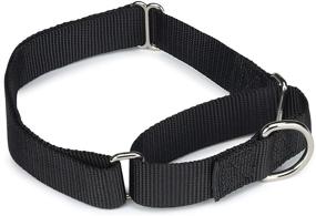 img 2 attached to SEO-Optimized Nylon Martingale Collar by Guardian Gear