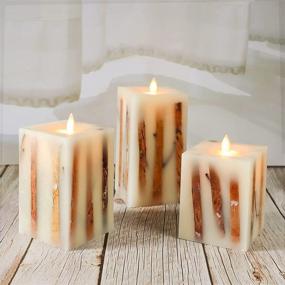 img 1 attached to 🕯️ Petristrike Flameless Flickering Candles: Birch Led Candles for Fall & Christmas Decor - Set of 3 Ivory Wax Pillars with Remote Timer