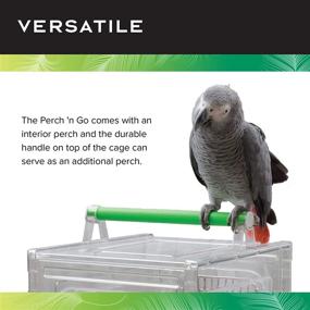 img 1 attached to 🦜 Featherland Paradise Small Polycarbonate Bird Carrier: Perch &#39;n Go Clear View Travel Cage with Handle