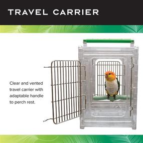 img 2 attached to 🦜 Featherland Paradise Small Polycarbonate Bird Carrier: Perch &#39;n Go Clear View Travel Cage with Handle