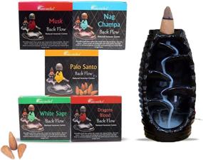 img 3 attached to 🌿 ARO VATIKA Natural Masala Backflow Assorted Incense Cones Variety Pack - 50 Cones (Nag Champa, Dragon's Blood, White Sage, Palo Santo, Musk)