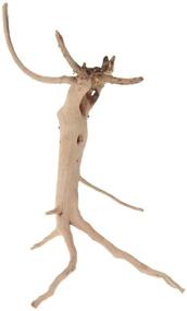 img 1 attached to 🌿 Assorted Sizes Natural Driftwood Vine Branches for Reptiles Aquarium Decoration - Pack of 4, Small Pieces