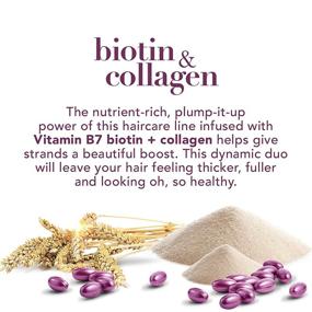 img 3 attached to 🧴 OGX Thickening Biotin and Collagen Shampoo, 25.4 Fl Oz