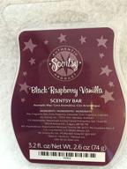 scentsy raspberry vanilla wickless squares logo
