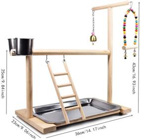 img 3 attached to 🦜 Bird Playground Parrot Playstand: Feeder Seed Cups, Swing Toys, & More for Conures, Macaws, Cockatiels, and Finches