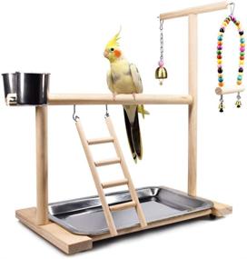 img 4 attached to 🦜 Bird Playground Parrot Playstand: Feeder Seed Cups, Swing Toys, & More for Conures, Macaws, Cockatiels, and Finches