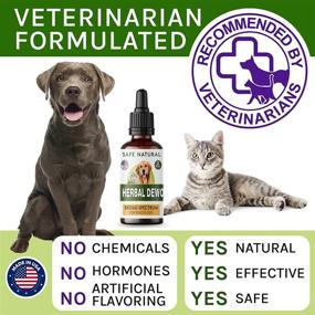 img 2 attached to 🐾 TwoFurFinds Liquid Herbal Cleanse: Homeopathic Parasite Control for Cats and Dogs - All Breeds/Sizes - Puppy/Kitten - USA-Sourced - Preventative/Reactive - 2oz