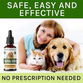 img 3 attached to 🐾 TwoFurFinds Liquid Herbal Cleanse: Homeopathic Parasite Control for Cats and Dogs - All Breeds/Sizes - Puppy/Kitten - USA-Sourced - Preventative/Reactive - 2oz