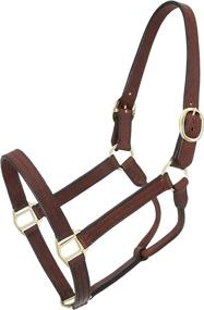 img 1 attached to Premium Quality Tough 1 Royal King Leather Track Halter: Long-lasting Durability and Style