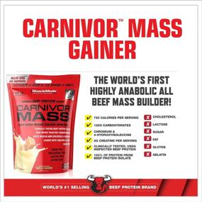 img 2 attached to MuscleMeds Carnivor Mass: Vanilla Caramel Anabolic Beef Protein Gainer - 10 Pounds