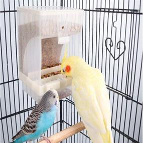 img 2 attached to 🐦 PINVNBY No-Mess Bird Feeder Parrot Automatic Seed Food Container Perch Cage Accessories for Budgerigar Canary Cockatiel Finch Parakeet Green Cheek Conures Parrotlets Lovebirds