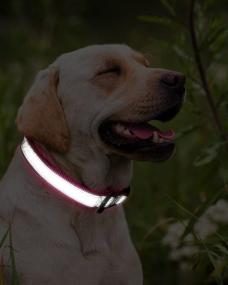 img 3 attached to 🐶 Taglory Reflective Dog Collar: 7 Colors, Quick Release Buckle, Training Collar for Dogs