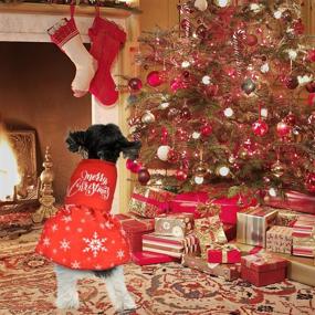 img 3 attached to 🎄 2 Christmas Dog Dresses for Small Dogs - Sebaoyu Pet Clothes Dress, Thanksgiving Puppy Skirt Outfit, Soft Chihuahua Apparel, Boy Girl Cat Clothing Costume Sundress