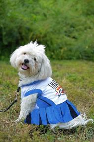 img 3 attached to 🐶 NBA PET Cheerleader Outfit by Pets First - Licensed Basketball Cheerleader Costume for Dogs & Cats in 16 Teams & 3 Sizes, Ideal for Sport Fans