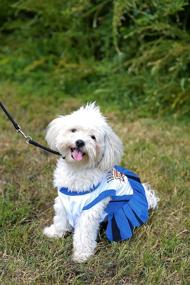 img 2 attached to 🐶 NBA PET Cheerleader Outfit by Pets First - Licensed Basketball Cheerleader Costume for Dogs & Cats in 16 Teams & 3 Sizes, Ideal for Sport Fans