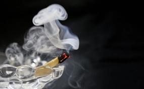 img 1 attached to 🌱 Palo Santo Ecuadorian Holy Wood Sticks - 100 Sticks (4+ inches Long): Authentic and Sacred Fragrance for Cleansing and Meditation