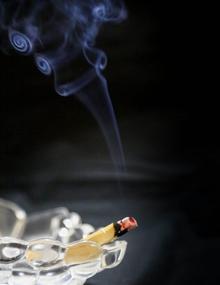 img 2 attached to 🌱 Palo Santo Ecuadorian Holy Wood Sticks - 100 Sticks (4+ inches Long): Authentic and Sacred Fragrance for Cleansing and Meditation