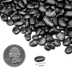 img 3 attached to 5.7lb Black Small Decorative Pebbles - Versatile Gravel River Rock for Succulent Gardens, Home Decor, and Vase Fillers