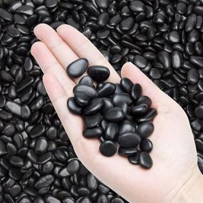 img 4 attached to 5.7lb Black Small Decorative Pebbles - Versatile Gravel River Rock for Succulent Gardens, Home Decor, and Vase Fillers