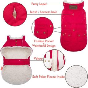 img 2 attached to 🐾 KYEESE Winter Dog Jacket with Windproof Fleece Lining, Cold Weather Dog Vest Coats Featuring Leash Hole