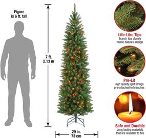 img 3 attached to 🎄 7-Foot National Tree Company Artificial Pre-Lit Slim Christmas Tree - Green Kingswood Fir with Multicolor Lights and Stand