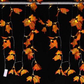 img 1 attached to 🍁 Thanksgiving Fall Garland String Lights - Pack of 2, 9 Feet 20 LED Maple Leaves String Lights with Warm Lights for Home Indoor Autumn Harvest Holidays Decor