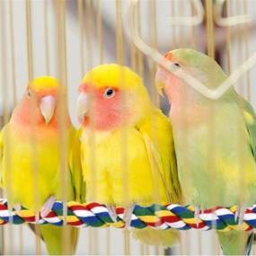 img 3 attached to 🦜 Bird Rope Perch Toy: Colorful and Comfy for Parrots, Cockatiels, Parakeets, Budgies - Large 41 Inch Size