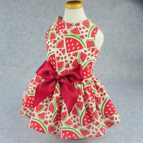 img 2 attached to 🍉 Stylish and Vibrant: Fitwarm Sweetie Watermelon Red Pet Sundress Shirt for Dogs