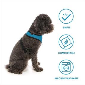 img 1 attached to Gooby Soft Mesh Dog Harness - All-Weather Mesh Small Dog Harness with D-Ring Leash - Perfect Breathable Dog Harness for Medium and Small Dogs - Indoor and Outdoor Use, No Pull