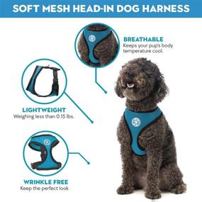 img 2 attached to Gooby Soft Mesh Dog Harness - All-Weather Mesh Small Dog Harness with D-Ring Leash - Perfect Breathable Dog Harness for Medium and Small Dogs - Indoor and Outdoor Use, No Pull