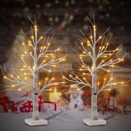 pair of 2- fastdeng birch tree lighted, 2ft 36 led warm white lights, battery powered timing tabletop bonsai tree light for home bedroom holiday wedding party indoor decoration логотип