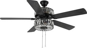 img 1 attached to 💫 River of Goods Glam Double-Lit LED Ceiling Fan - 52 Inches Width, Stylishly Clear