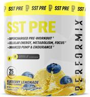 🔥 performix sst pre workout - boost energy, focus, pump, and endurance - with molecular hydrogen matrix - blueberry lemonade flavor logo