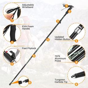 img 2 attached to Number-one Collapsible Trekking Poles 2 Pack: Ultralight Aluminum Alloy Hiking Poles with EVA Grip and Quick Lock System - Ideal Walking Sticks for Men and Women Hiking, Camping and Outdoor Adventures