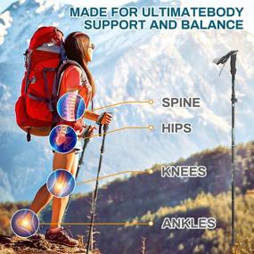 img 3 attached to Number-one Collapsible Trekking Poles 2 Pack: Ultralight Aluminum Alloy Hiking Poles with EVA Grip and Quick Lock System - Ideal Walking Sticks for Men and Women Hiking, Camping and Outdoor Adventures