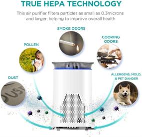 img 2 attached to 🌬️ Hisense KJ120 Air Purifier with True HEPA Technology: Effective Allergen and Odor Removal for Large Rooms