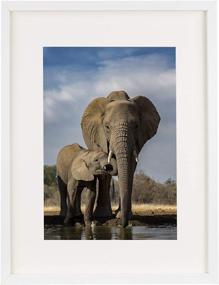 img 4 attached to 🖼️ BD ART 12x16 (30x40 cm) White Wood Picture Frame with High Definition Glass – Display 8x12 or 12x16 Photos – Vertical and Horizontal Wall Mounting