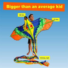 img 3 attached to 🪁 INYO MASAYA Easy-to-Fly Kites for Kids - Colorful Bird Design - Long Tying String - Perfect for Outdoor Play - 77 x 32 Inches - Carry Case Included