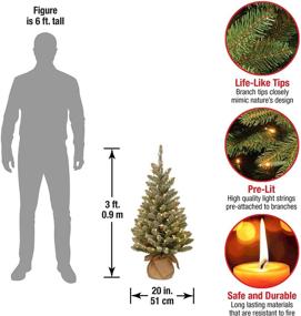 img 2 attached to 🎄 National Tree Company Pre-lit 3 ft Mini Christmas Tree with White LED Lights and Burlap Base