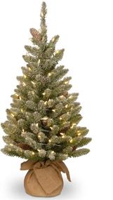img 4 attached to 🎄 National Tree Company Pre-lit 3 ft Mini Christmas Tree with White LED Lights and Burlap Base